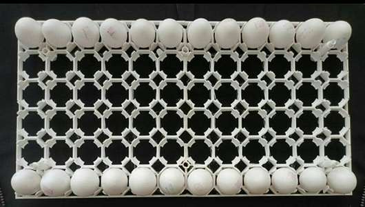 تصویر 2 از خرید و فروش شانه تخم مرغ جوجه کشی شاخک دار با شرایط فوق العاده